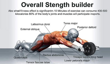 Abdomen Roller Targets Key Muscle Groups